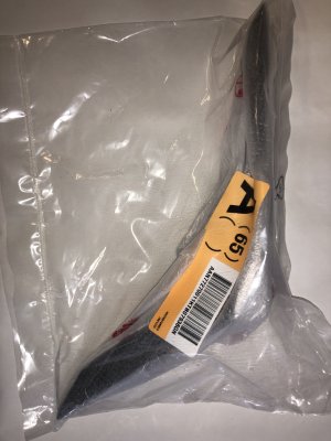 AAN77270011
